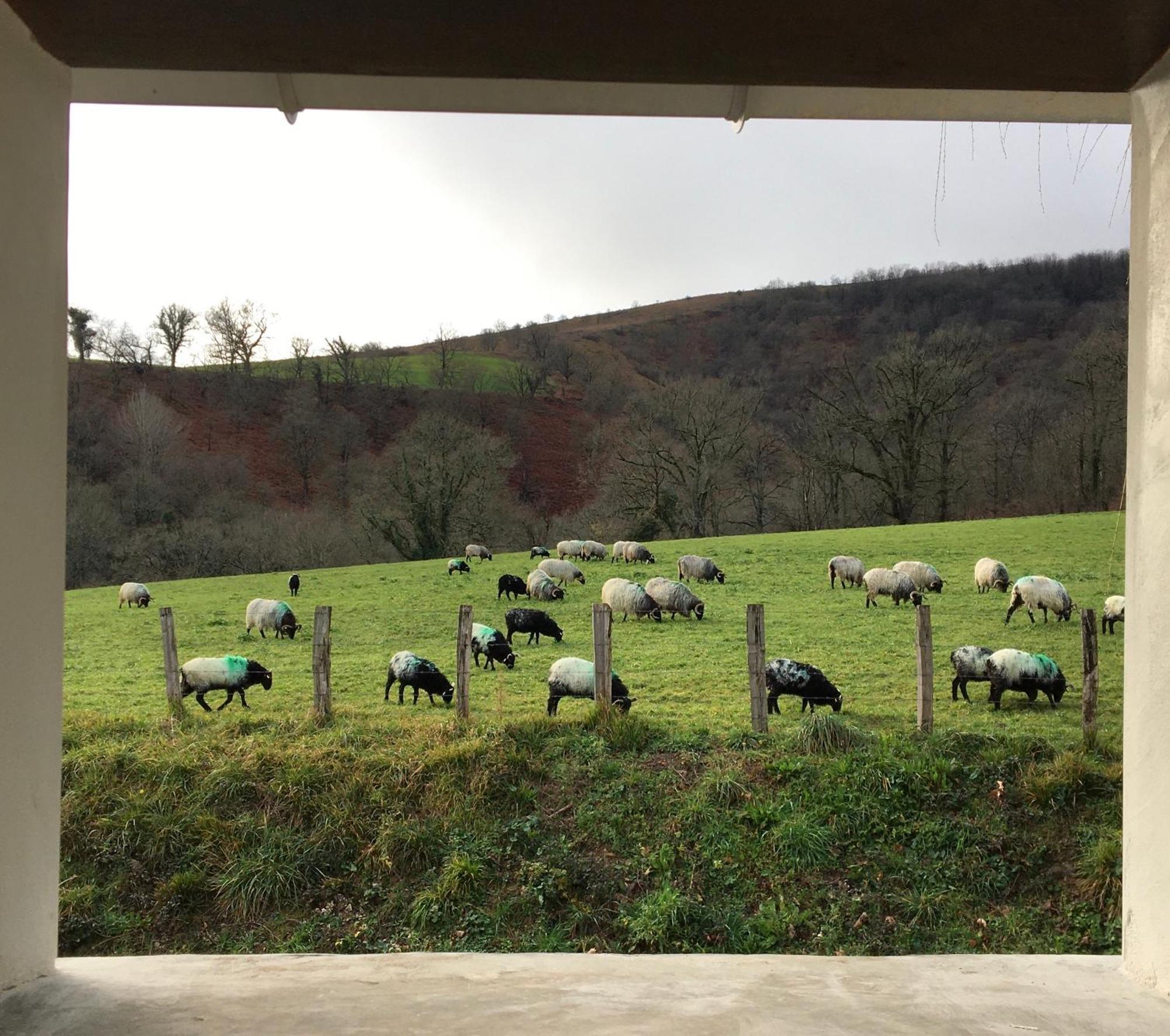 Apartmán La Grange D'Etxexuria Lantabat Exteriér fotografie