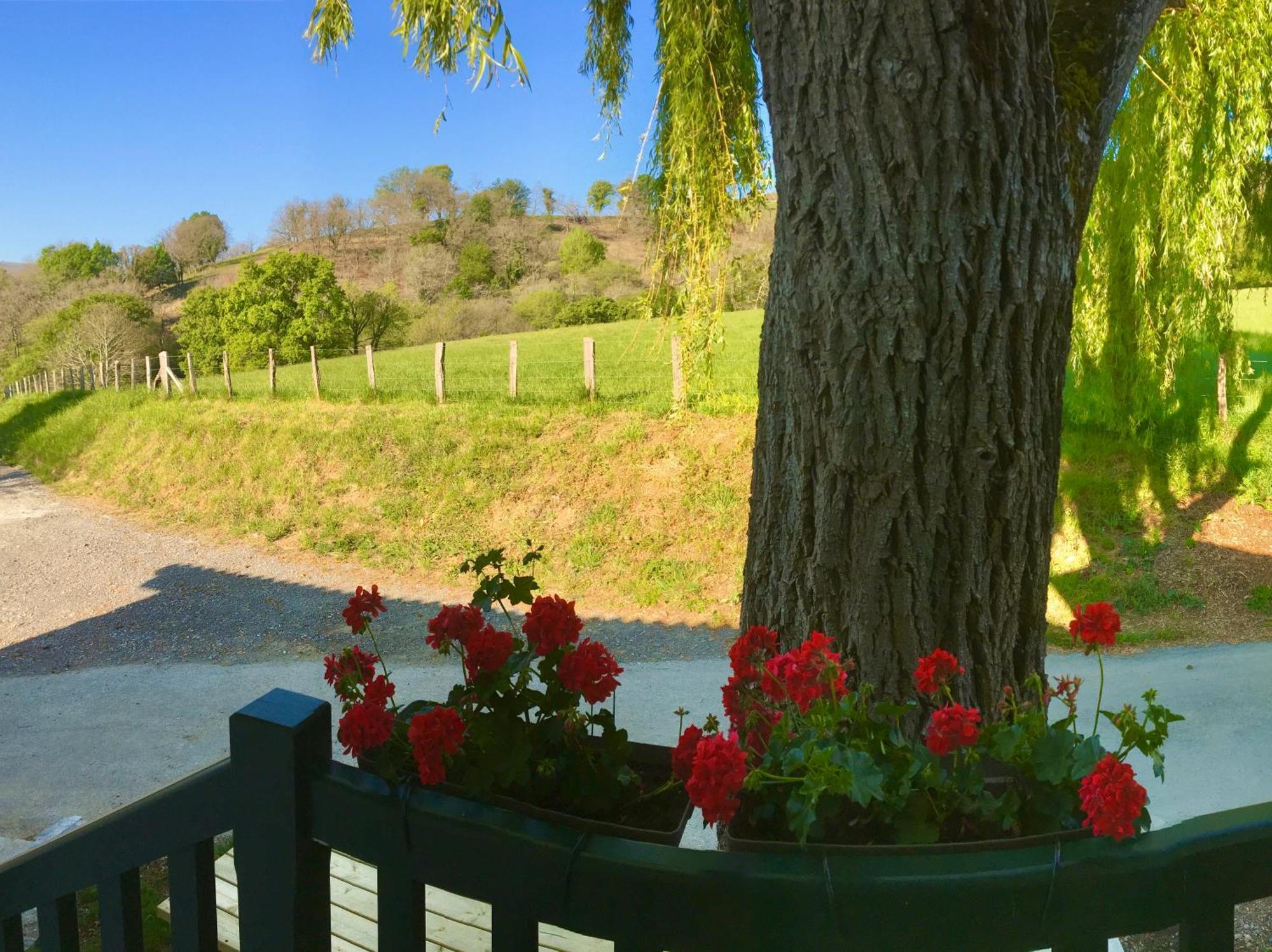 Apartmán La Grange D'Etxexuria Lantabat Exteriér fotografie